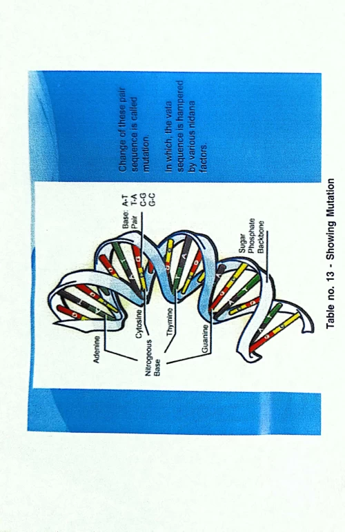 Fundamentals of Kayachikitsa